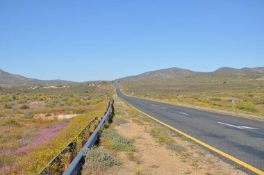 Road in Namaqualand, South Africa clipart