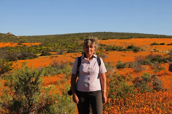Caminata Turística Adulta Través Campos Namaqualand —  Fotos de Stock