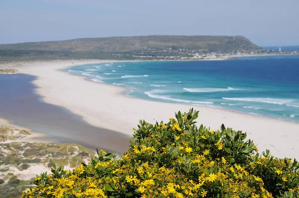 Chapmans Peak Drive'dan Noordhoek Plajı manzarası