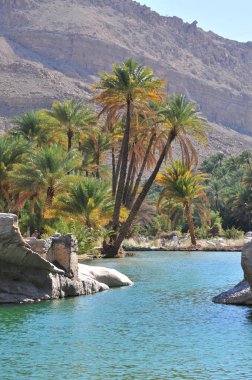 Wadi Bani Khalid, Umman içinde Su Havuzu