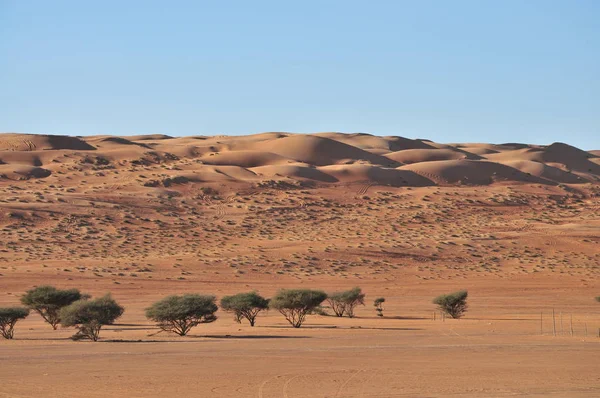 Wahiba Zand Woestijn Van Sultanaat Van Oman — Stockfoto