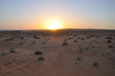Wahiba sand desert of sultanate of oman clipart