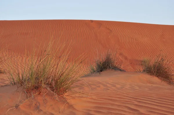 Wahiba Deserto Areia Sultanato Oman — Fotografia de Stock