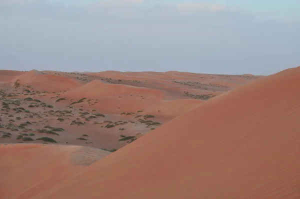 Wahiba Zand Woestijn Van Sultanaat Van Oman — Stockfoto