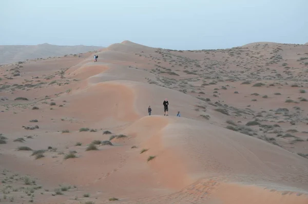 Wahiba Desierto Arena Sultanato Oman — Foto de Stock