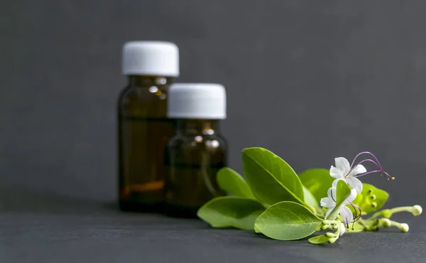 Alternative Medicine Homeopathic Substance Bottle Leaf White Flower Black Background — Stock Photo, Image