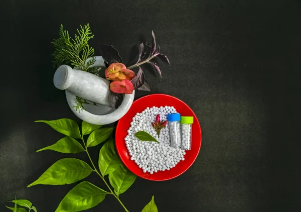 Homeopathic Medicine Concept - Top view of Scattered homeopathic sugar pills in a red plate with green leave, flower and bottles of globules. Healing herbs, pink flower petal and a mortar.