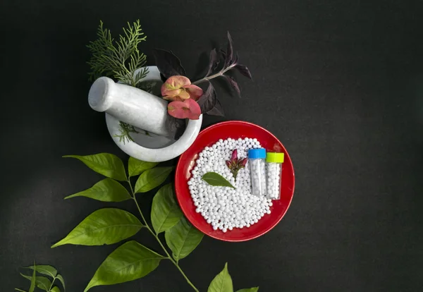 Top View - Healing herbs, pink flower and a mortar, white sugar pills in red bowl on a black background. Homeopathic medicine grains scattered on a red plate with green leaf on the black surface