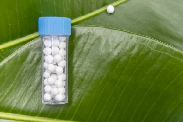 Homeopathic pills - close up image of homeopathic medicine bottle on green leaf background