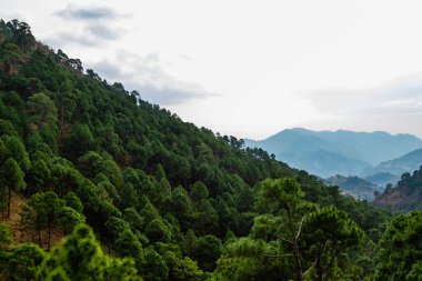 Ağaçlarla kaplı güzel dağların geniş fotoğrafları ve arka planda parlak gökyüzü.
