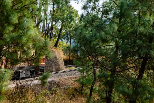 train visible behind the trees along side mountain, travel concept