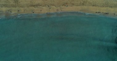 güzel bir Ibiza Beach üstten görünüm