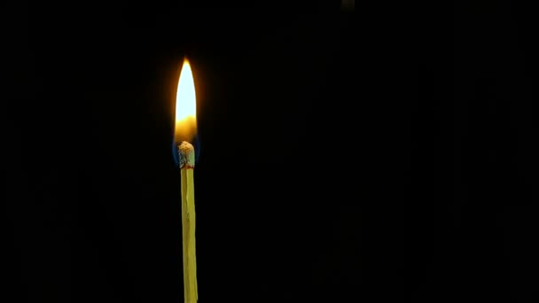 Спичка Сама Воспламеняется Сгорает Оставляя Тонкую Линию Дыма Черный Фон — стоковое видео