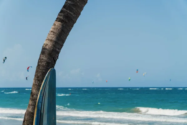 Surfs up — Stock Photo, Image