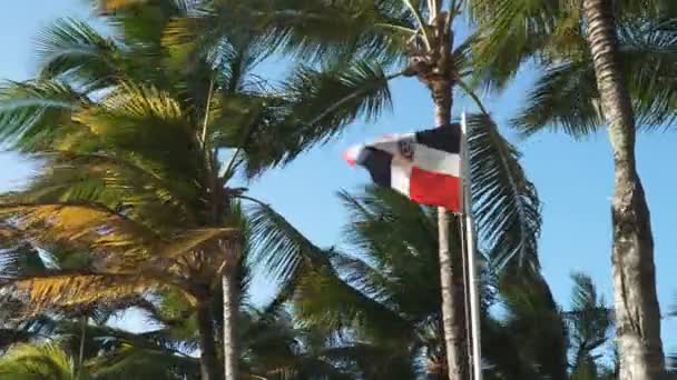 Disparo Cardán Girando Alrededor Una Bandera República Dominicana Con Palmeras — Vídeo de stock