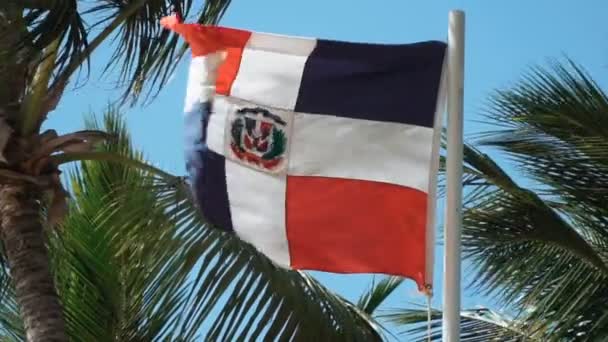 Close Slow Motion Shot Uma Bandeira República Dominicana Com Palmeiras — Vídeo de Stock