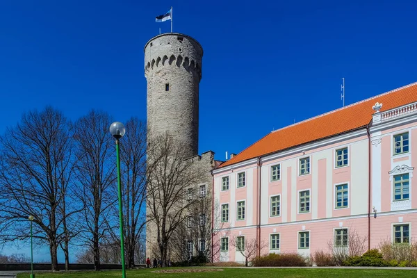 Tall Hermann o Pikk Hermann es una torre del castillo de Toompea — Foto de Stock