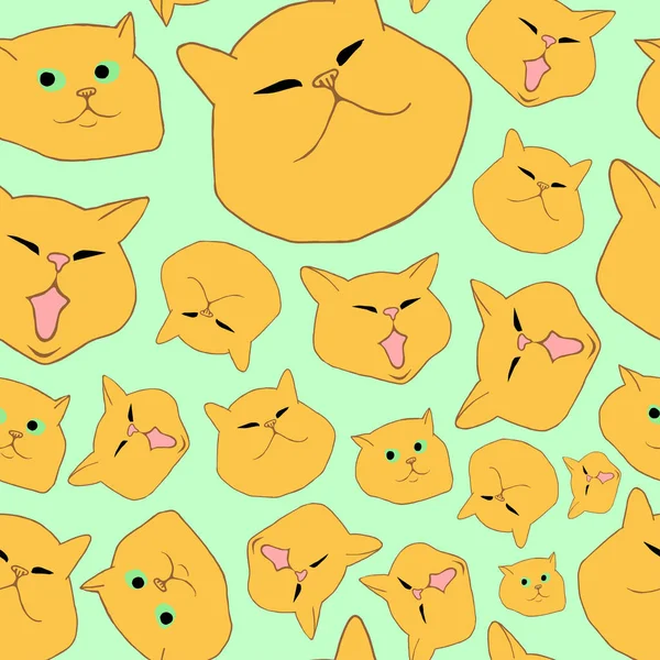 Szkocki Krótkowłosy Kot Żółty Kot Ziewanie Kot Wygląda Podejrzliwie Kot — Wektor stockowy