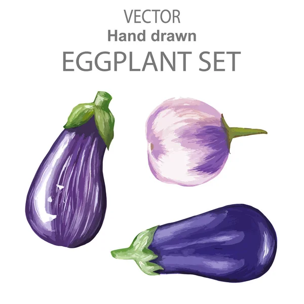 Vectorset Met Paarse Hele Aubergines Met Hand Getekend Getraceerd Vector — Stockvector