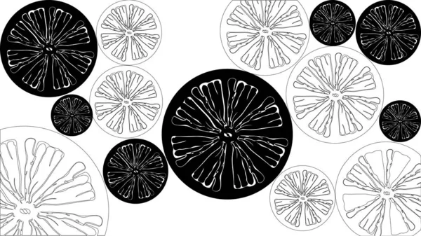 Cítricos blancos y negros — Archivo Imágenes Vectoriales