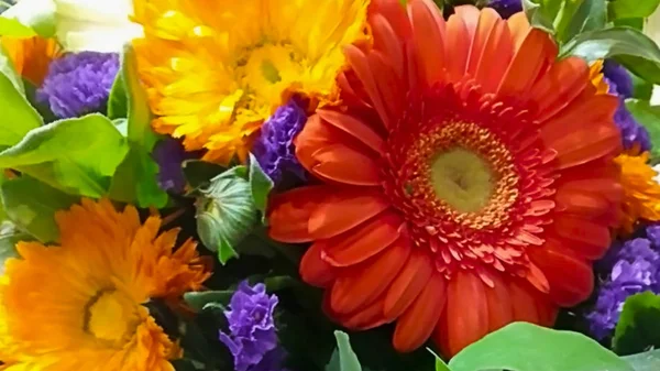 Dekoratív Gerbera a készítmény összetétele. — Stock Fotó