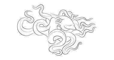 Ahtapotun doğrusal illüstrasyonu