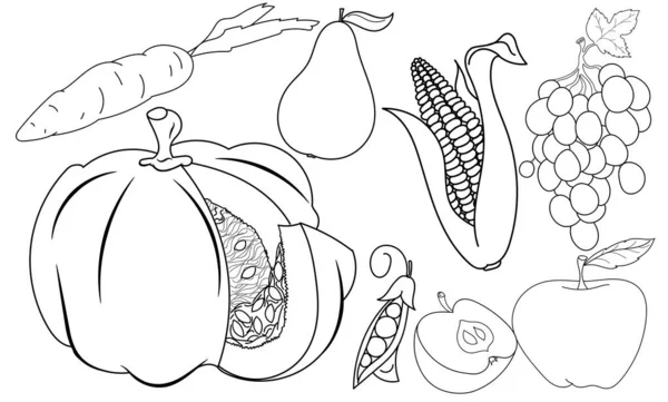 Ensemble d'images vectorielles de contour des fruits et légumes d'automne — Image vectorielle
