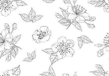  ince çizgili çiçek çizimi beyaz arka plan