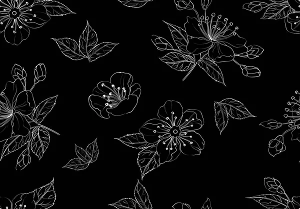 illustration of thin striped flowers black background