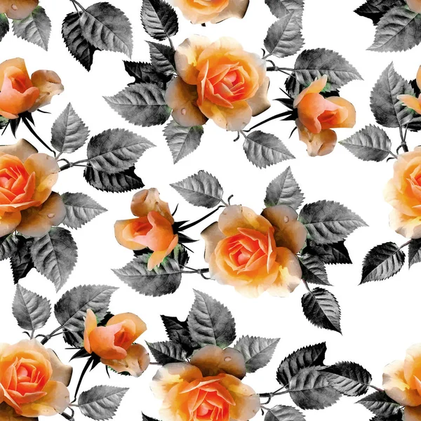 Naadloze rose bloemen patroon met Leaf design — Stockfoto