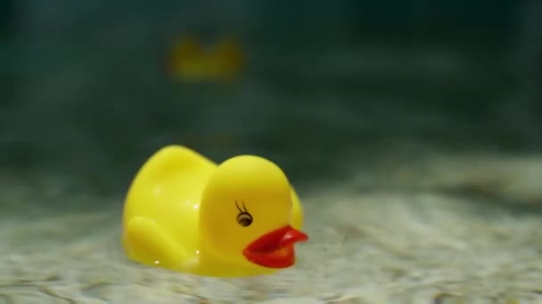 Hermosa toma de pato de plástico amarillo flotando en el agua azul de la piscina - video en cámara lenta — Vídeo de stock