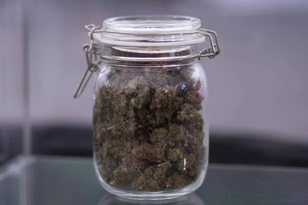 Esrar ve pul çiçekler ve elinde ortak üst görünümü bir arka plan karşı marihuana otlar öğütmek için bir öğütücü. Elinde marihuana oluması öğütmek için bir öğütücü.