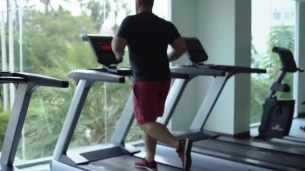 Pausbäckiger Mann läuft auf Laufstrecke, wärmt sich auf Fitness-Laufband auf. zurück — Stockvideo