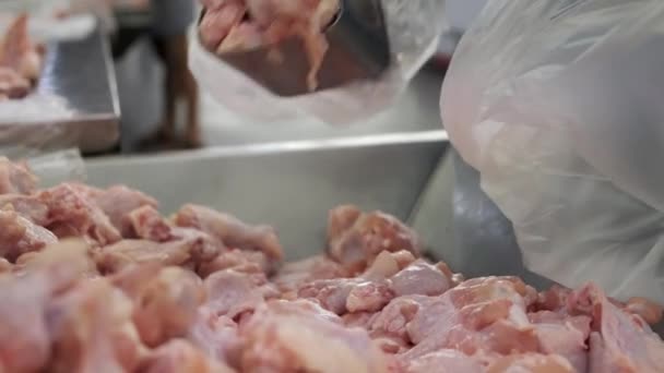 Raw Chicken frames. Fresh chicken parts from local farms. It was sold in supermarkets for people can buy in the morning every day. — Stock Video