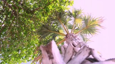 Pattaya, Tayland-Mayıs 27, 2019: Bu Jomtien plajının bir görünümü Pattaya popüler bir turist Plajı.