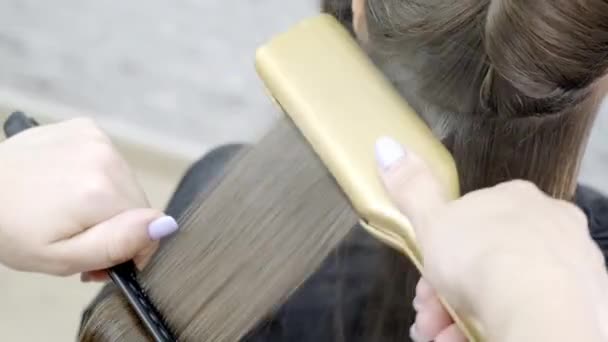 Parrucchiere rende laminazione dei capelli in un salone di bellezza per una ragazza con i capelli castani. Da vicino. — Video Stock