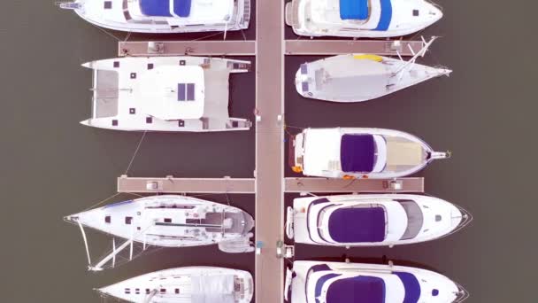 Flygvy av Drone av Yacht Club och Marina. Topputsikt över Yacht Club. Vita båtar i havsvatten. Marina docka yachter och små Moto. Yacht och segelbåt — Stockvideo