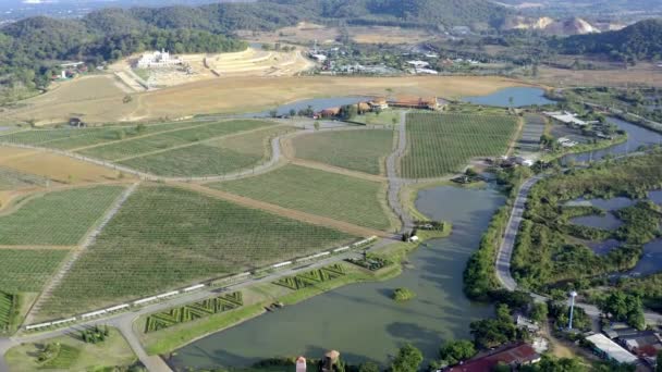 Zbor aerian peste podgorii situate lângă un râu în zona tropicală a Asiei — Videoclip de stoc