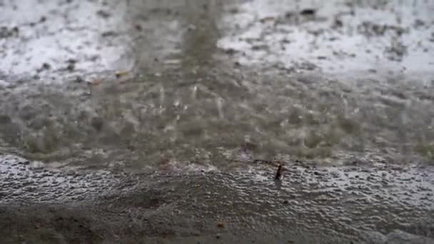 Panorama de la selva verde durante la lluvia tropical. Árboles de selva verde y palmeras, niebla y lluvia tropical. Columpio vacío moviéndose del viento — Vídeo de stock