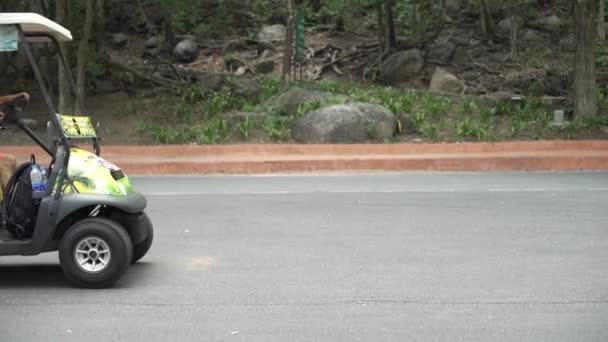 パタヤ、タイ - 2019年5月22日:動物園でゴルフ電気自動車を運転する女の子. — ストック動画
