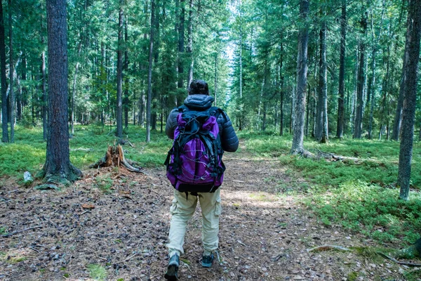 A man with a large tourist backpack traveling through the woods, ecotourism concept. — Stock Photo, Image