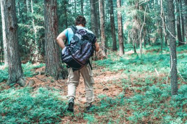 Ormanda seyahat büyük bir turist sırt çantası ile bir adam, ekoturizm kavramı.
