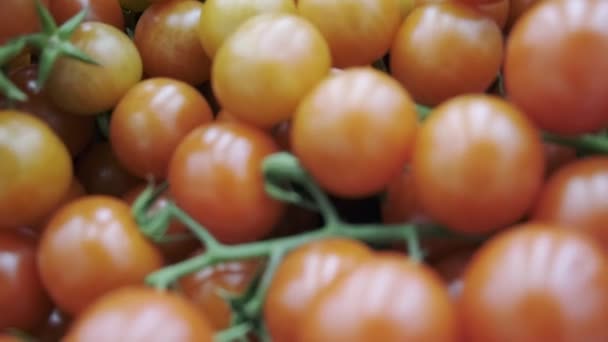 Los tomates en la rama en el supermercado, hermoso rojo. De cerca. — Vídeos de Stock