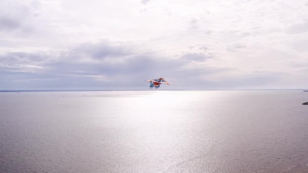 美しい高層ビルの隣、川岸の近くを飛ぶ凧。自由と成功の概念 — ストック動画