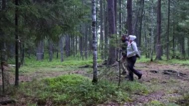 Bir çift turist sırt çantalarıyla ormanda yürüyor. Yan görünüm.