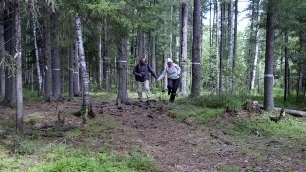 Un par de turistas están caminando por el bosque con mochilas. Vista lateral . — Vídeos de Stock