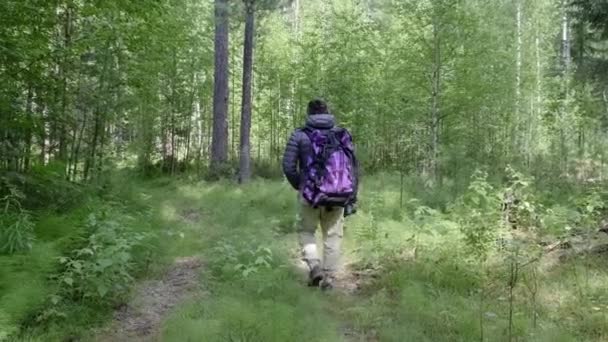 En man med en stor turist ryggsäck som färdas genom skogen, ekoturism konceptet. — Stockvideo