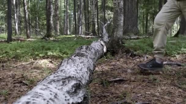 Un uomo con un grande zaino turistico in viaggio attraverso i boschi, passi su un concetto di ecoturismo albero sdraiato . — Video Stock