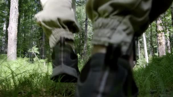 Ein Mann mit einem großen Touristenrucksack, der durch den Wald reist, tritt über einen liegenden Baum.. — Stockvideo