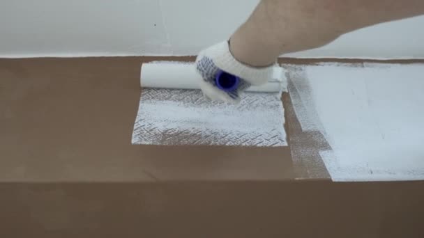 Pintura de la habitación con pintura blanca, sumergiendo un rodillo para pintar con pintura blanca . — Vídeo de stock